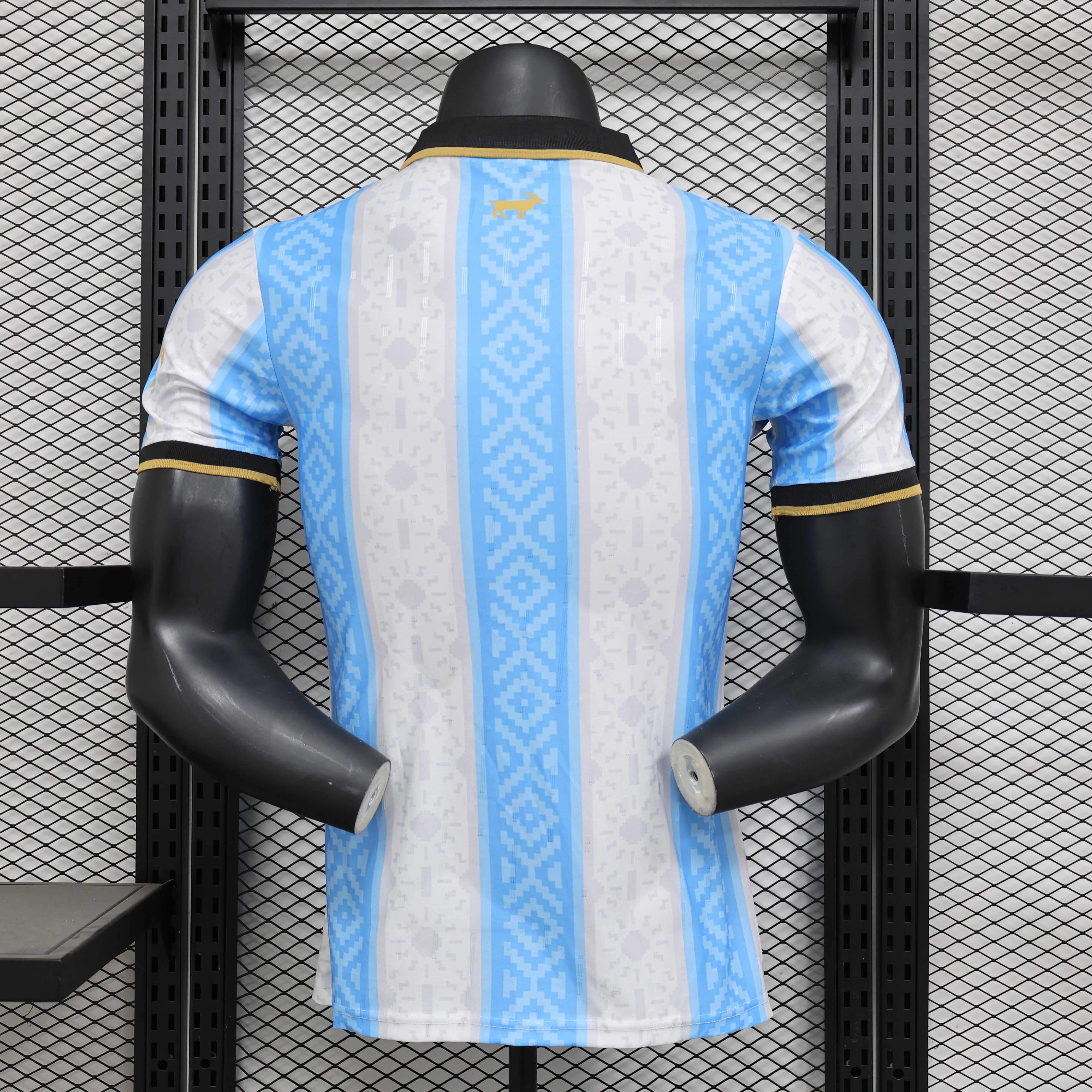 2025/2026 Player Version Argentina Special Edition 01 Football Jersey 1:1 Thai Quality