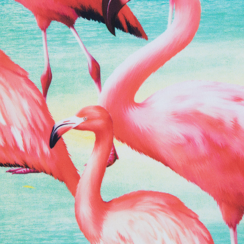 Flamingo Caye UV Protective Compression Swimwear Tricot with Aloe Vera Microcapsules - Joann Fabrics