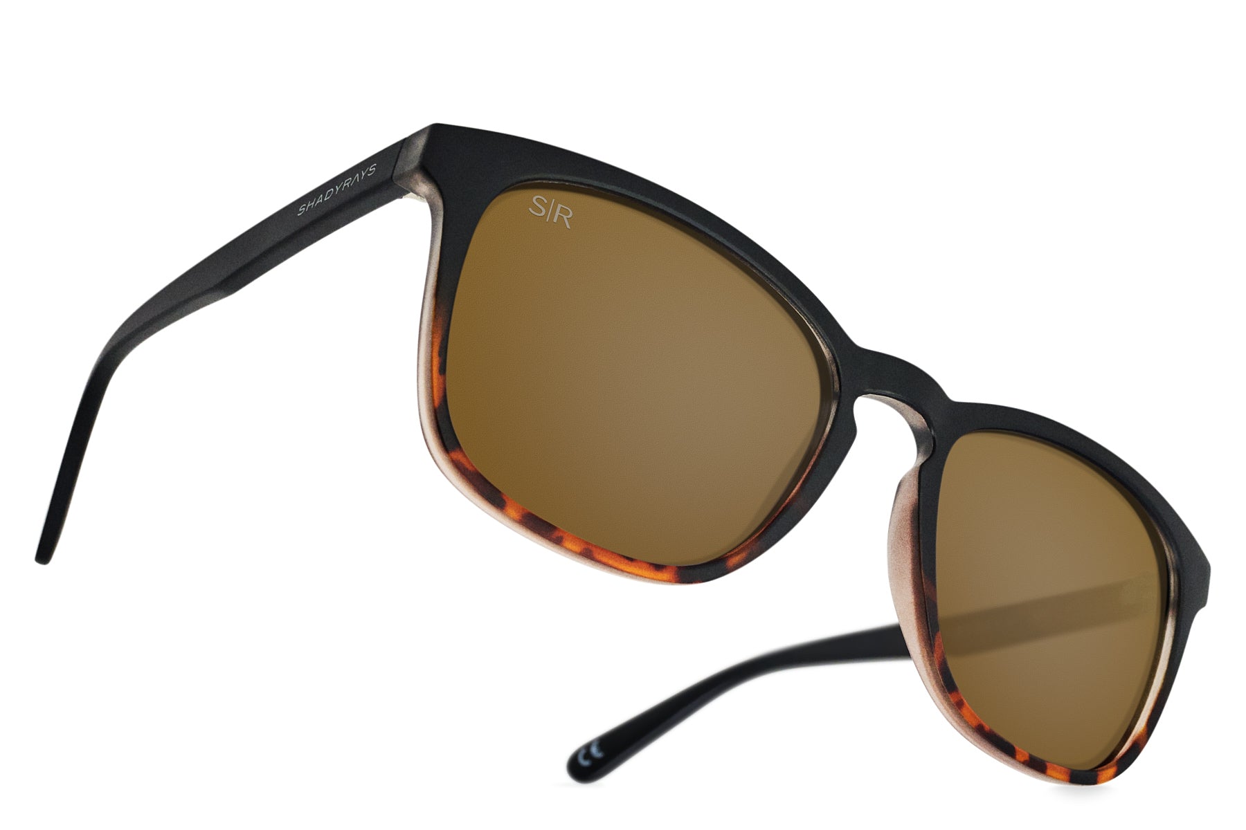 Cypress – Black Tortoise Polarized