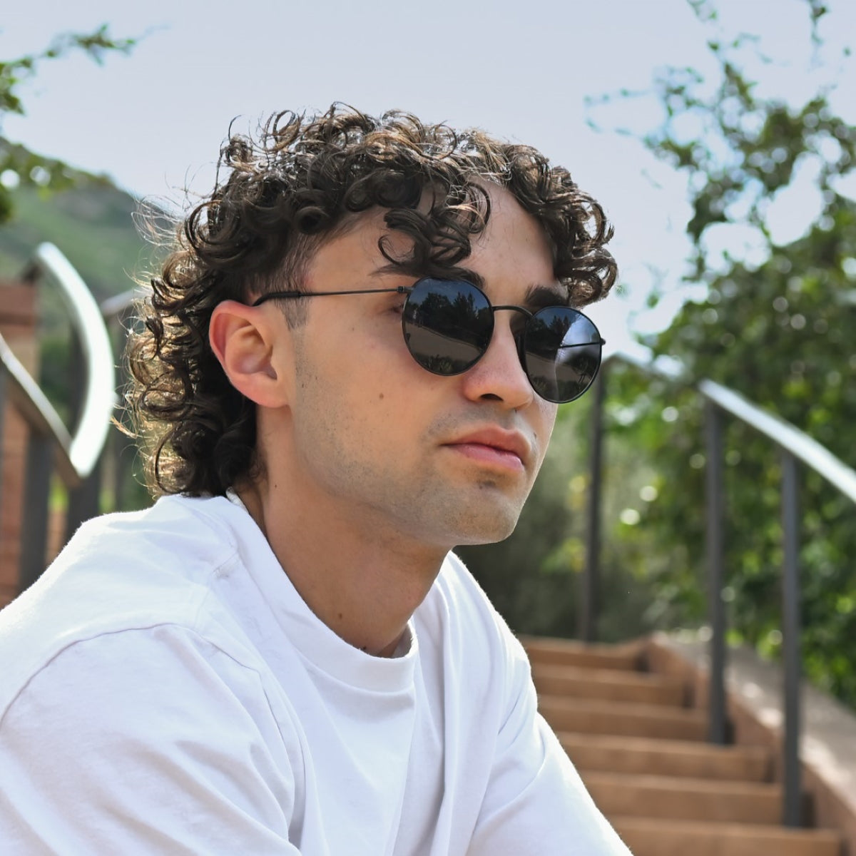 Tangle Free Aston – Stealth Polarized