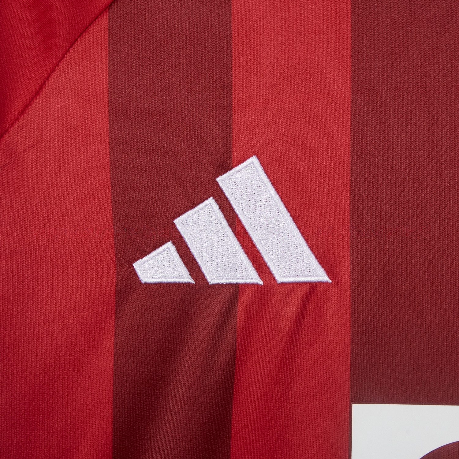 Bayern Munich 25-26 Victory Commemorative Special Jersey - Fans Version - UnitedFutballJersey