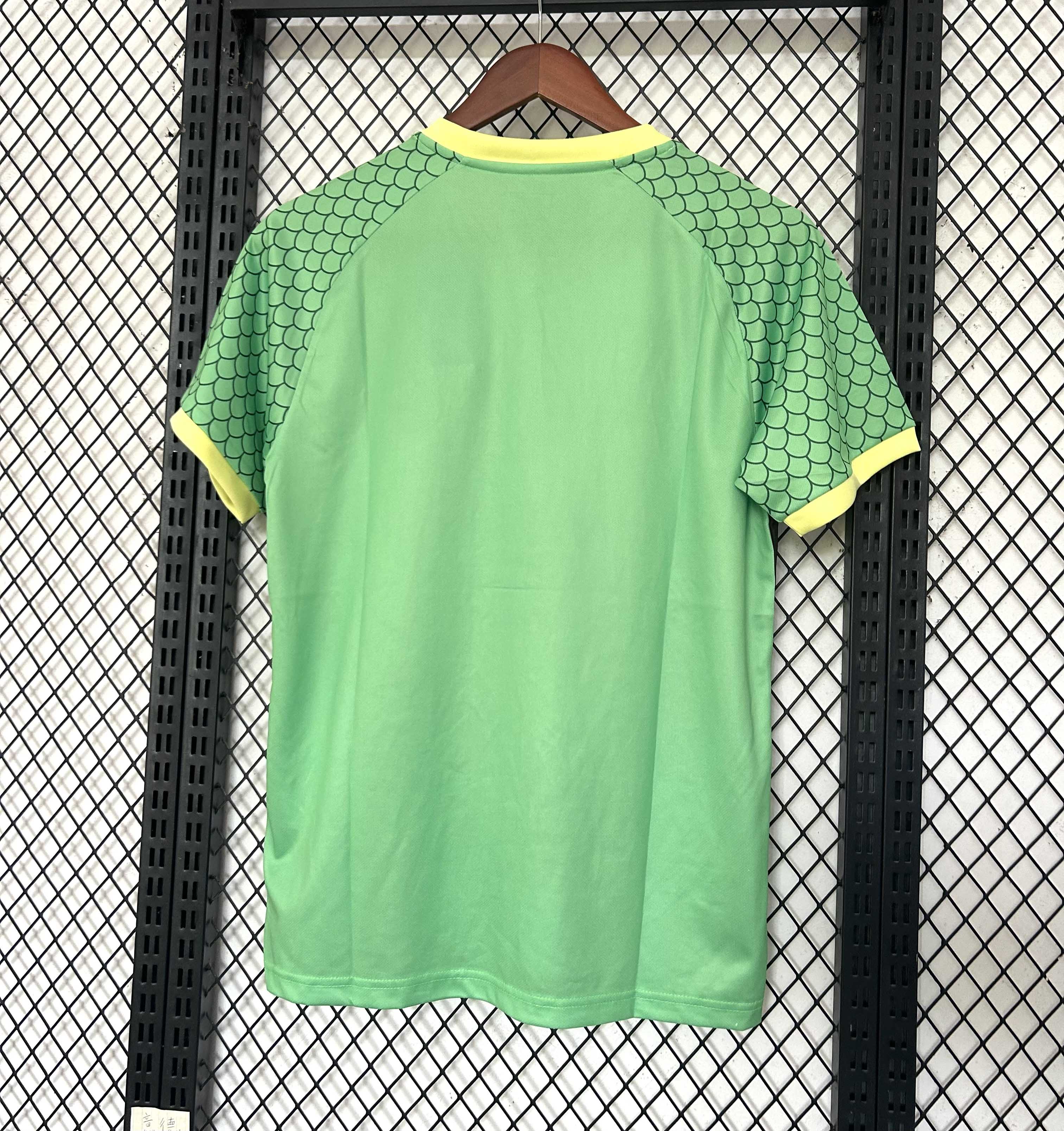 2025/2026 Japan Special Edition 38 Football Jersey 1:1 Thai Quality
