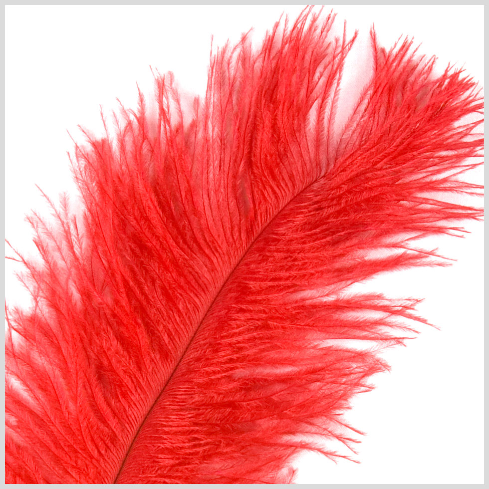 Red Ostrich Feather - 10