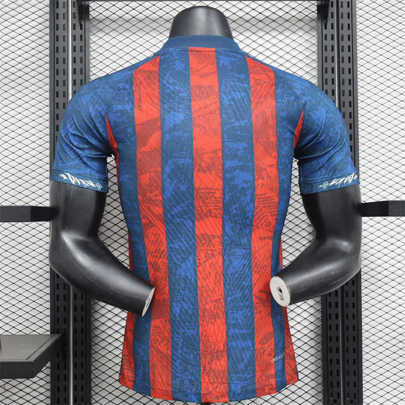 2024/2025 Player Version Barcelona Stripe Special Edition Jersey 1:1 Thai Quality