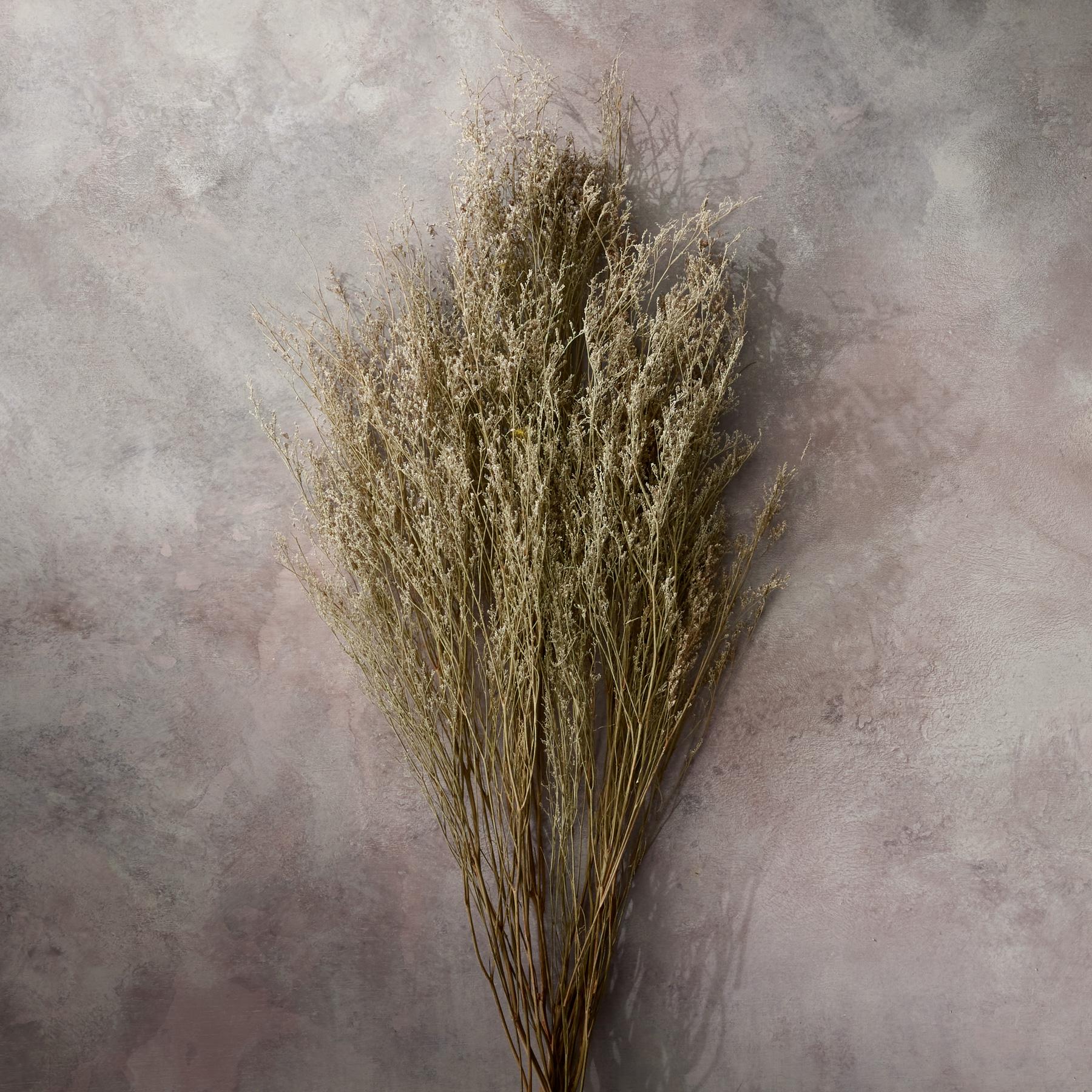 Countryside Dried Botanics - Blair Catalog