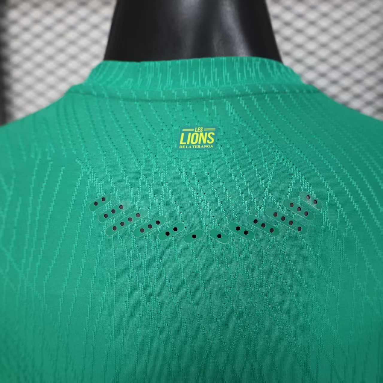 2025 Player Version Senegal National Team Home （Twin Star Edition） Football Shirt 1:1 Thai Quality