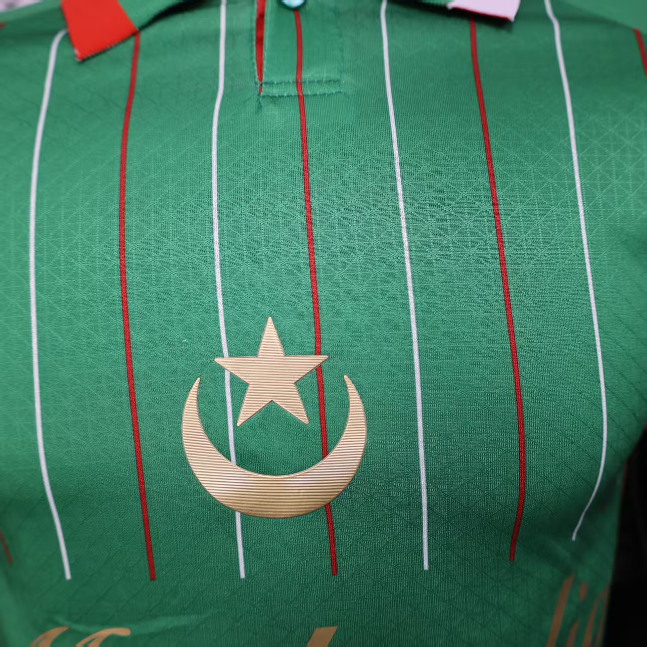 2025/2026 Player Version Palestine Special Edition Green Football Shirt 1:1 Thai Quality