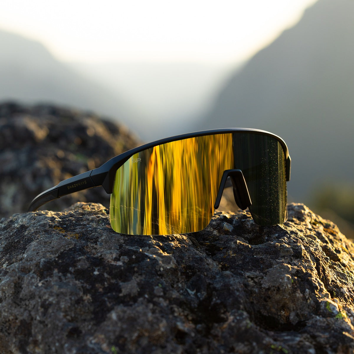 Rival Shift – Black Gold Polarized