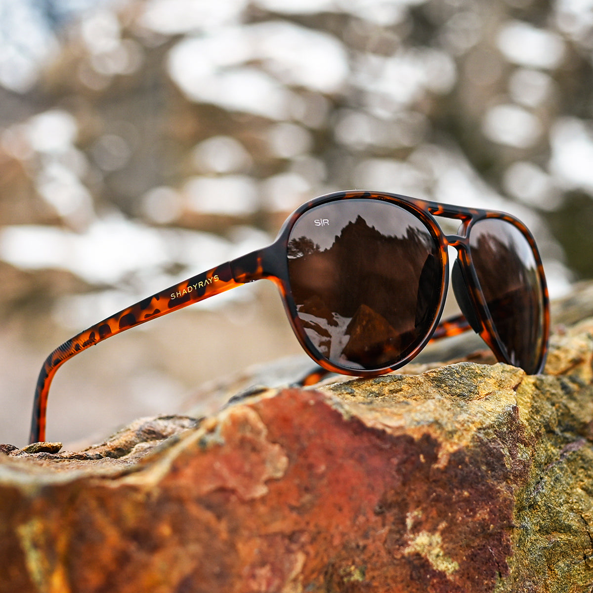Aviator Crossover – Amber Tortoise Polarized