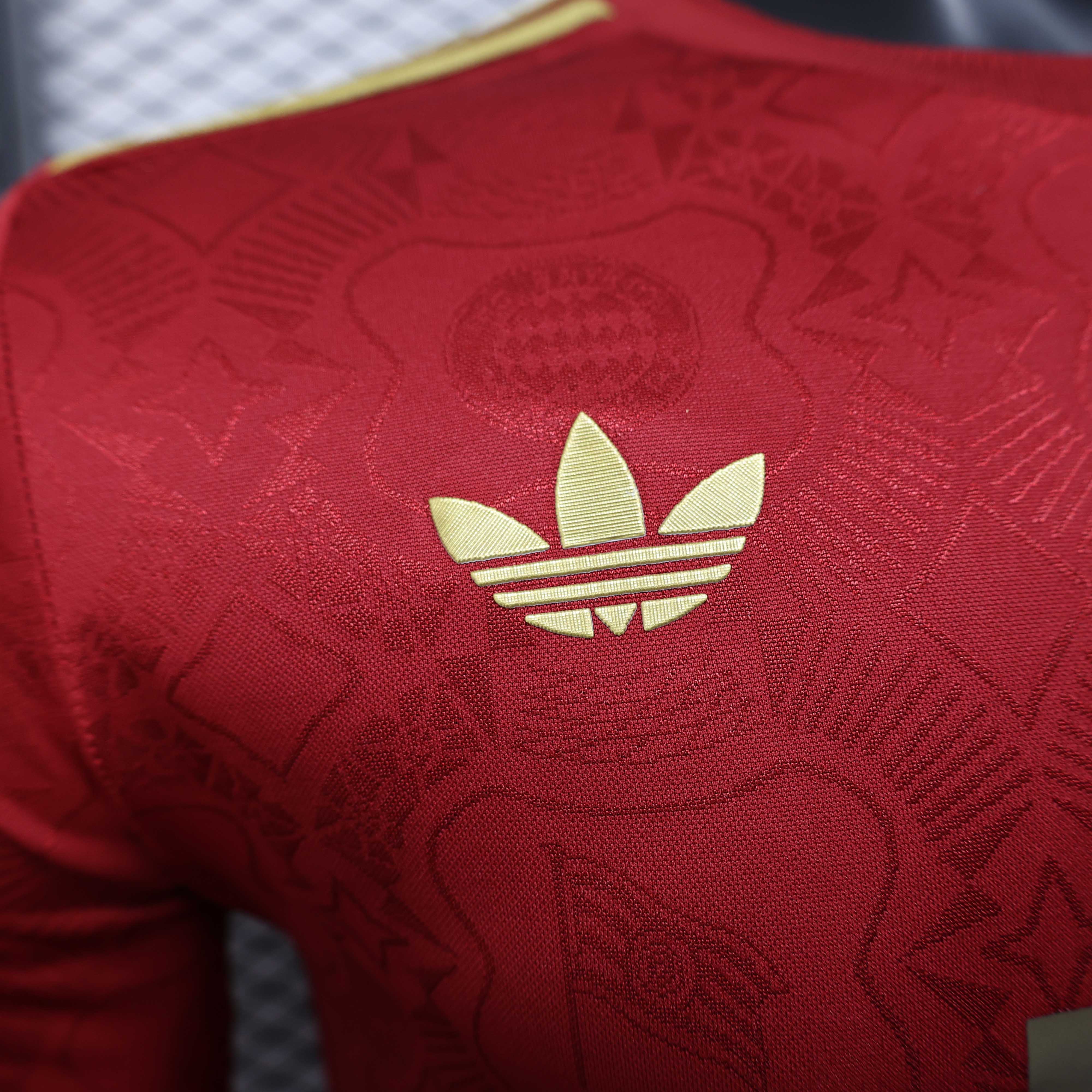 2025-2026 Long Sleeves Bayern Munich 125th Anniversary Edition Player Version Football Shirt 1:1 Thai Quality