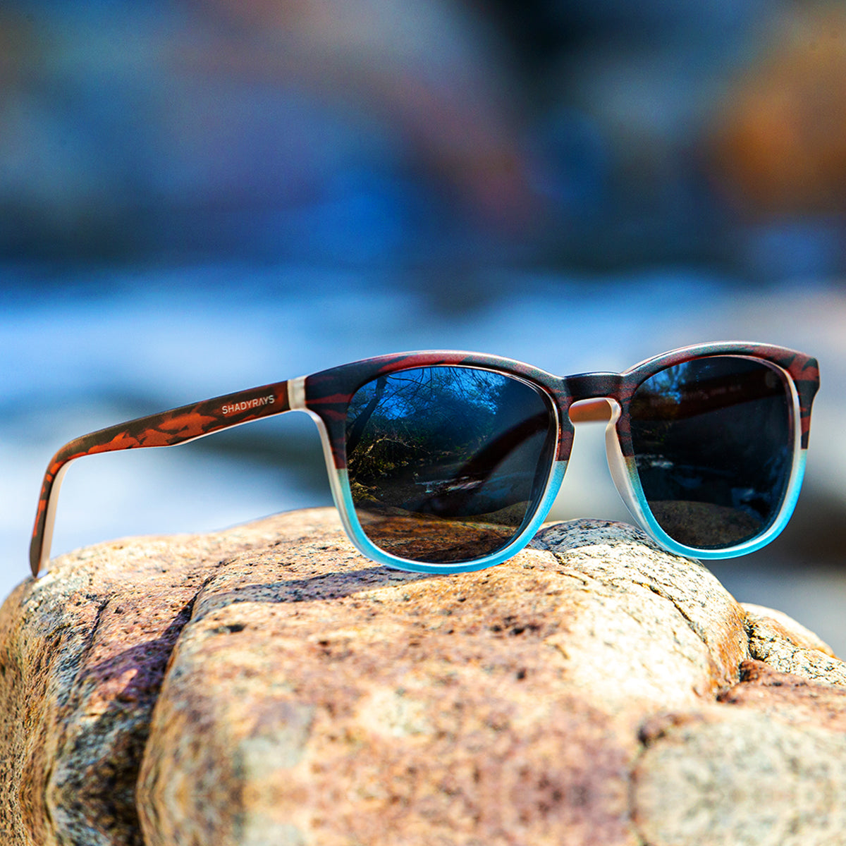 Cypress – Driftwood Polarized