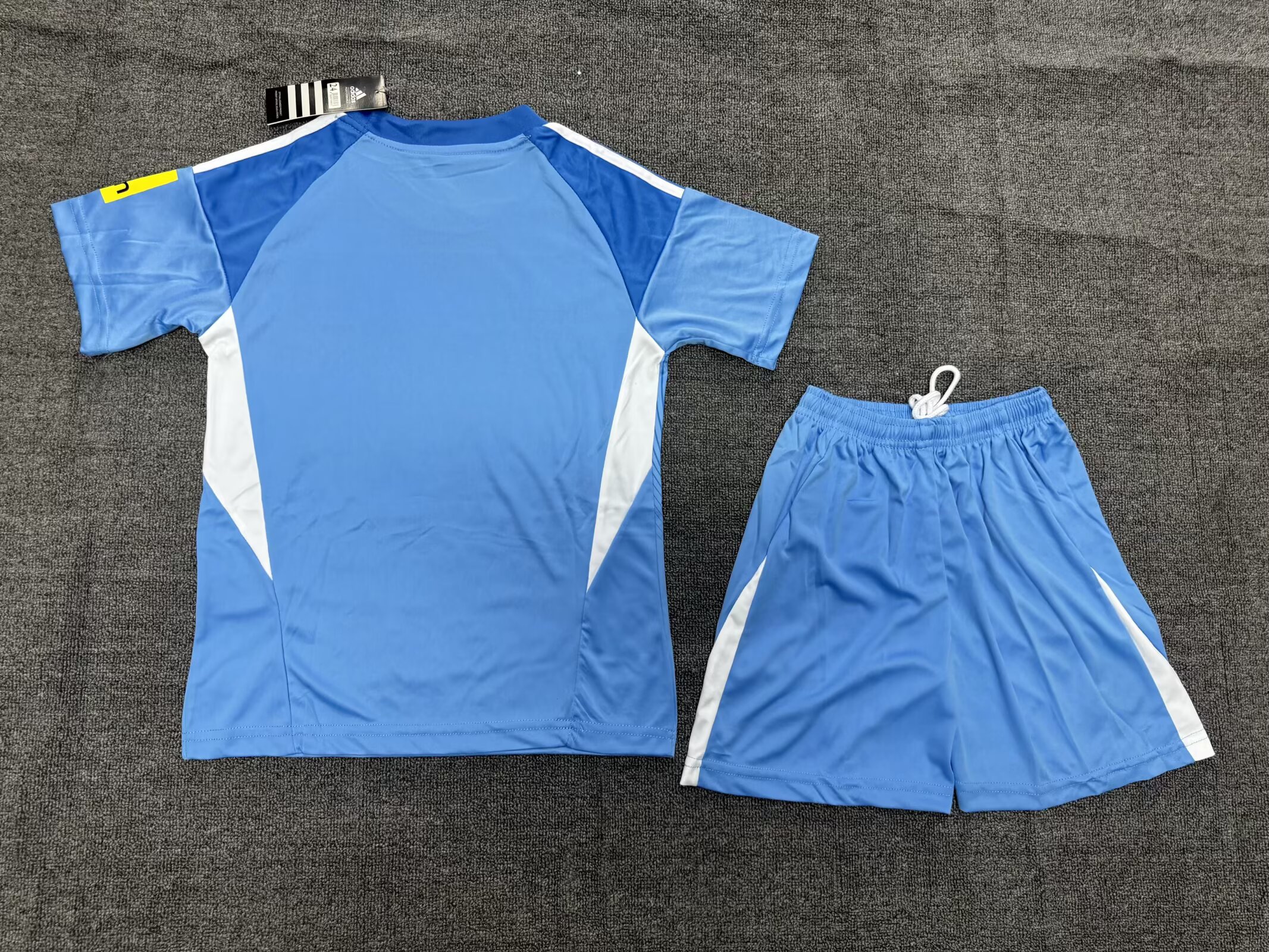 2025/2026 Newcastle United Goalie Blue Football Jersey Shirt 1:1 Thai Quality Kids Size