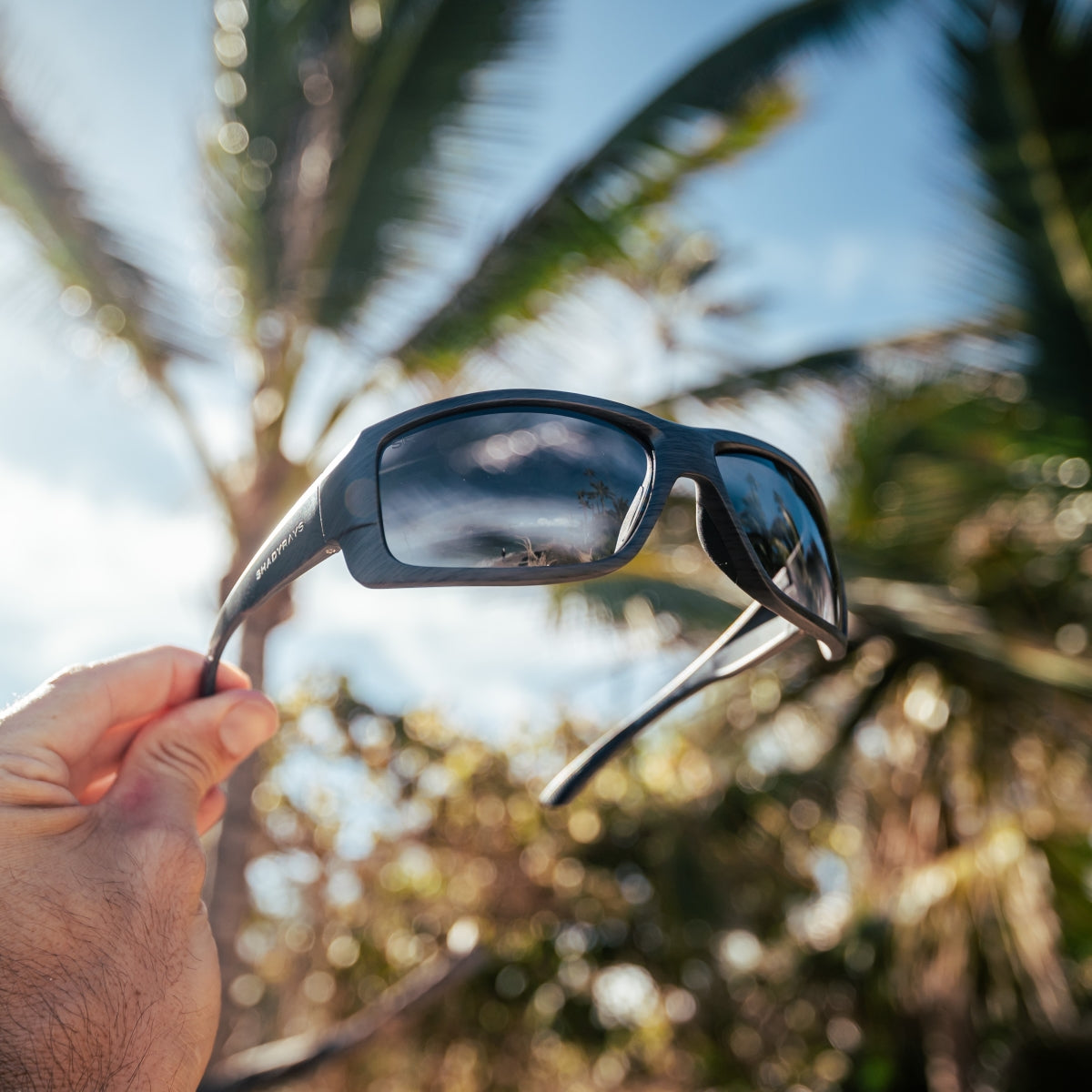 Capitan – Driftwood Polarized