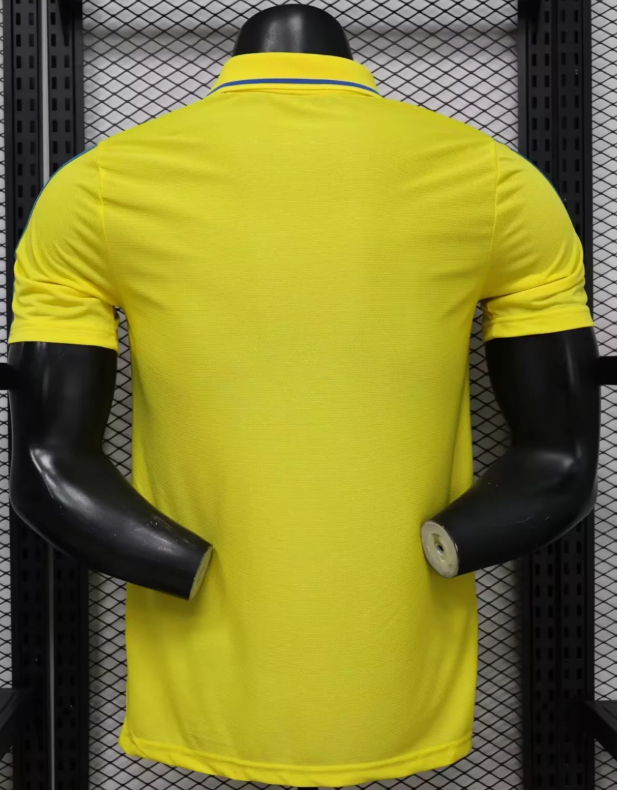 2026 Player Version Colombia National Team Special Edition 03 Football Jersey 1:1 Thai Quality