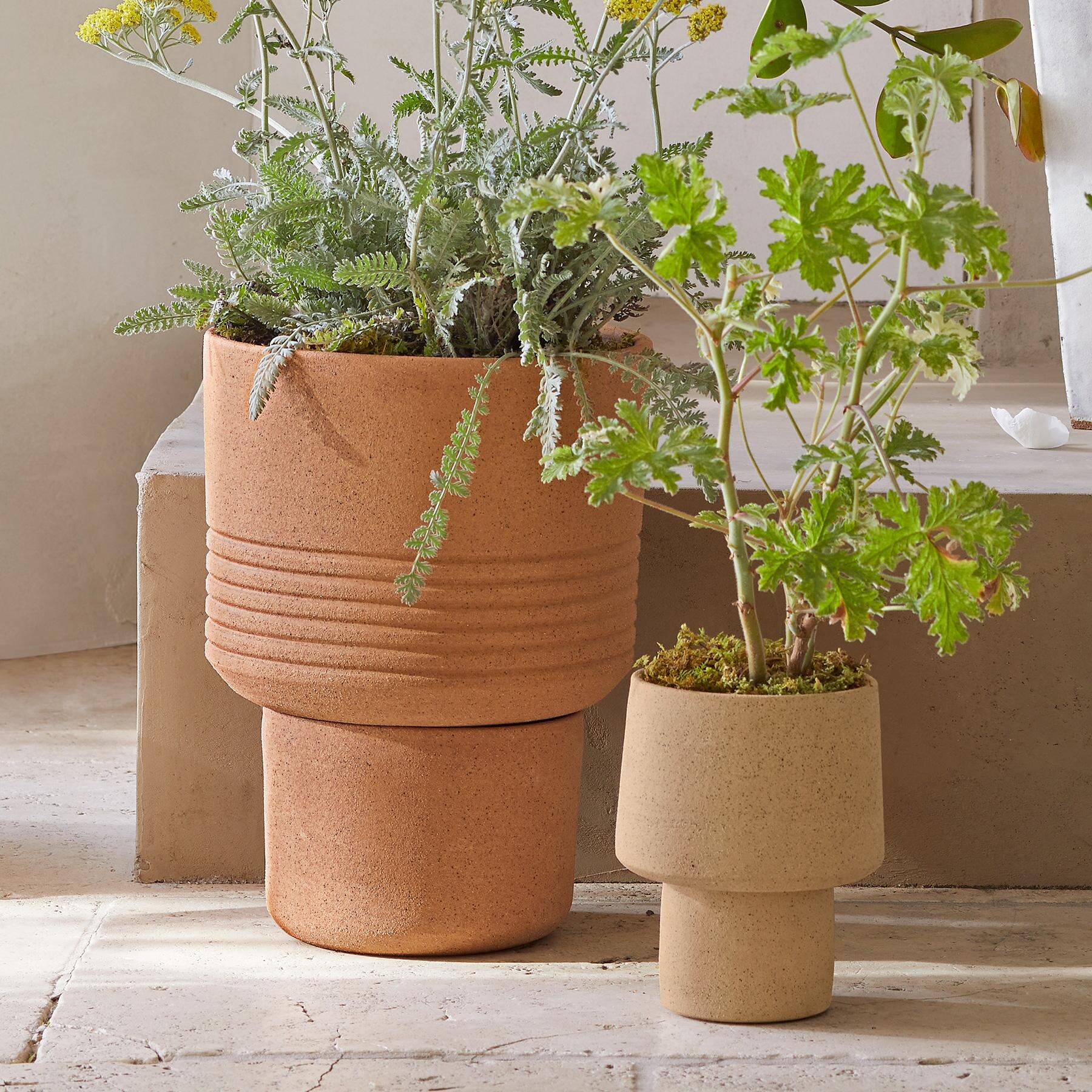 Local Roots Planter - Blair Catalog