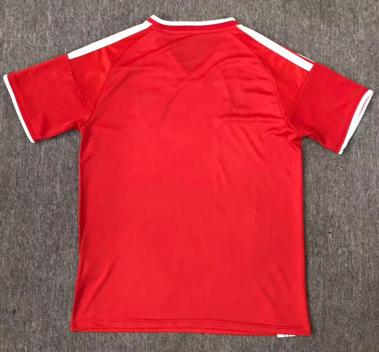 2026/2027 Wales Home Special Edition 01 Football Shirt 1:1 Thai Quality