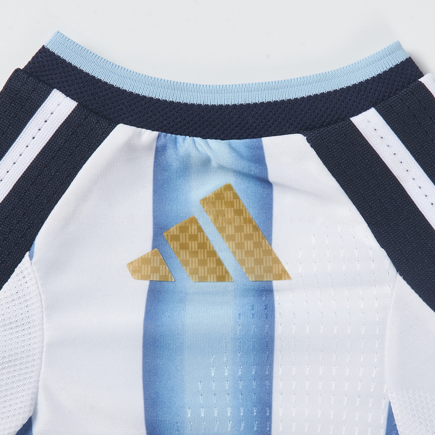 Argentina 2026 Home Pet Jersey - Player Version - UnitedFutballJersey