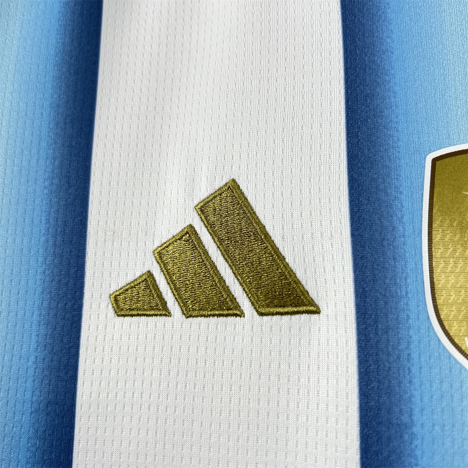 Women's Argentina 2026 Home Jersey - UnitedFutballJersey