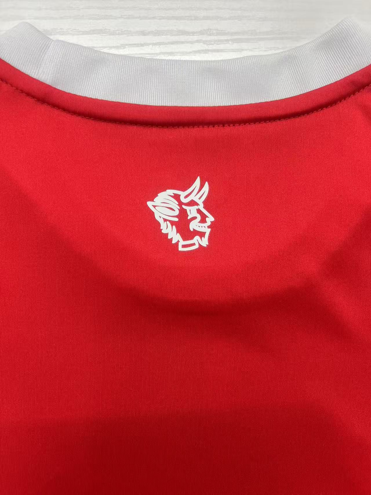 2025/2026 FC Kaiserslautern Home Football Jersey 1:1 Thai Quality