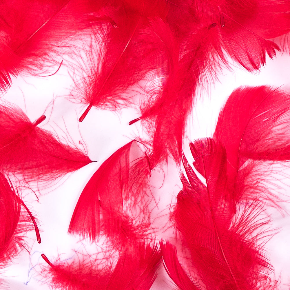 Red 5 Gram Bag of Feathers - Joann Fabrics