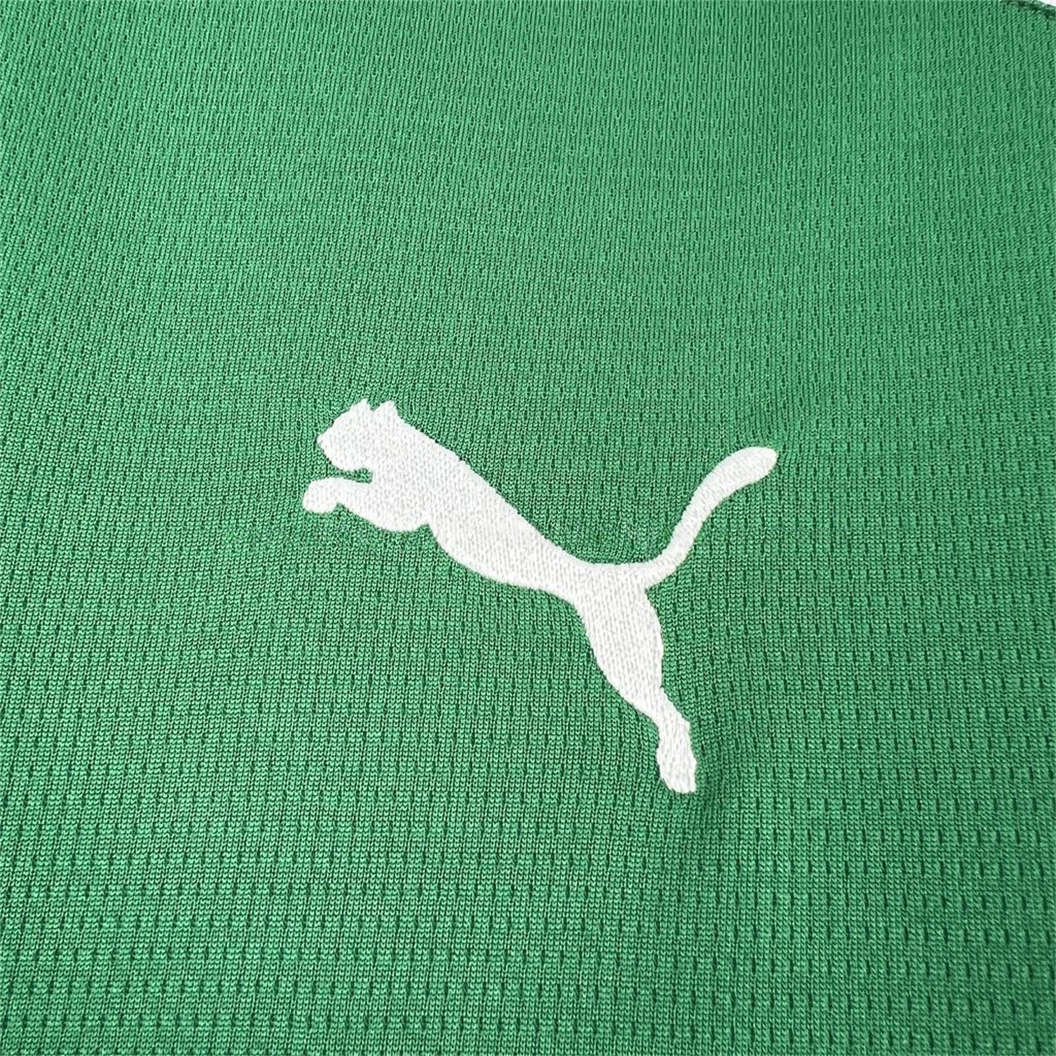 Palmeiras 26-27 Home Jersey With All Sponsors - Fans Version - UnitedFutballJersey