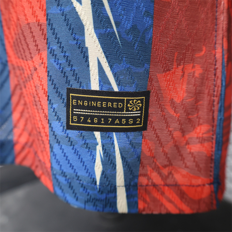 2024/2025 Player Version Barcelona Stripe Special Edition Jersey 1:1 Thai Quality