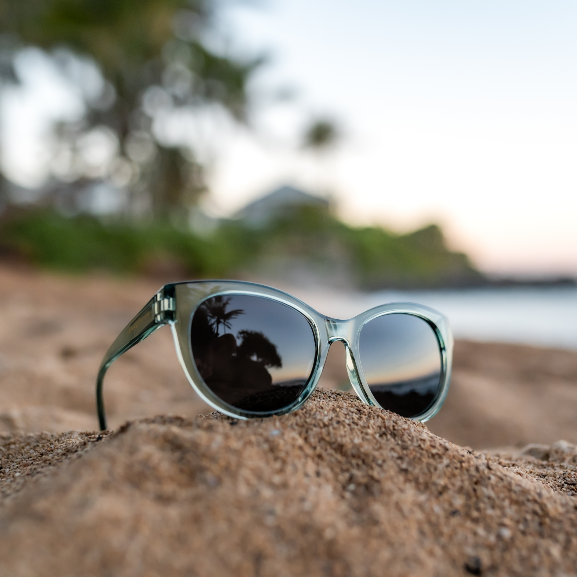 Lynx – Sage Polarized