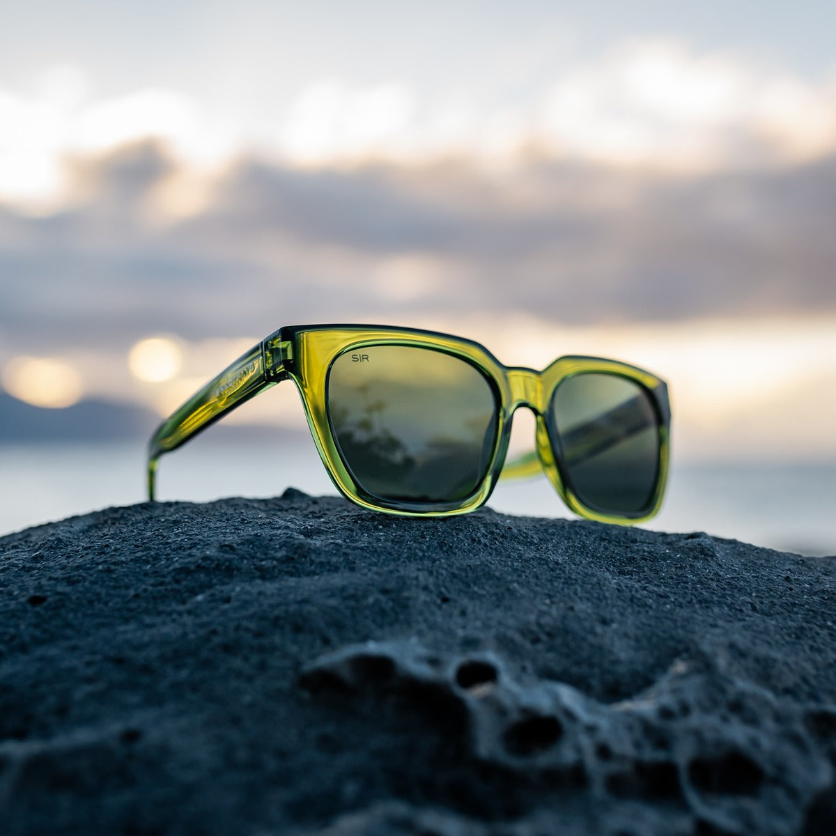 Dahlia – Sage Polarized