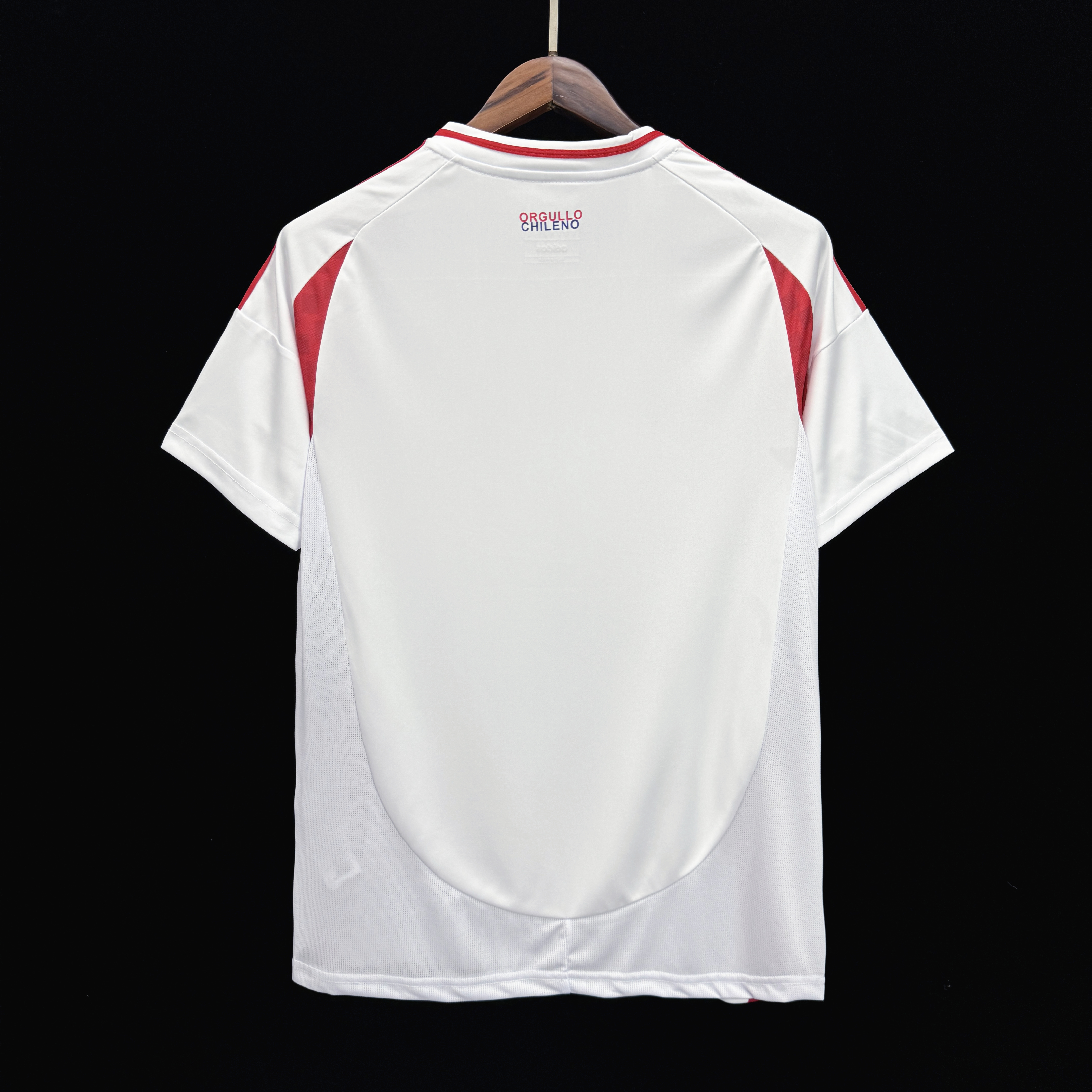 2024-2025 Chile National Team Soccer Jersey Away