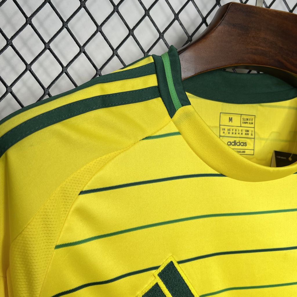 2024/2025 Celtic Away Football Shirt  1:1 Thai Quality