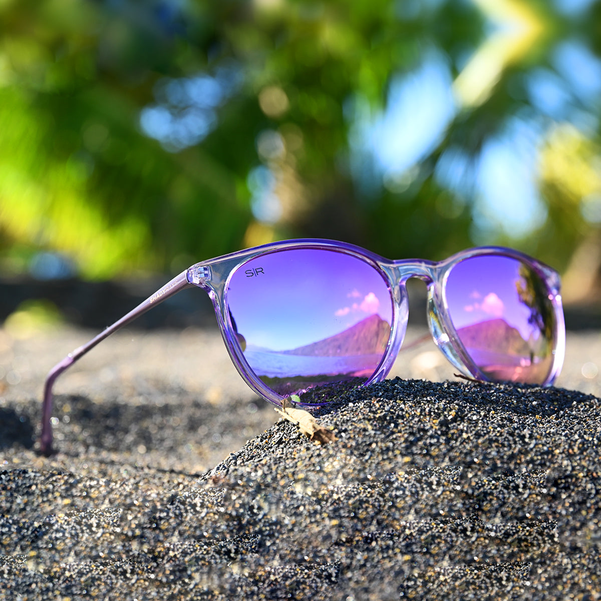 Allure – Lavender Polarized