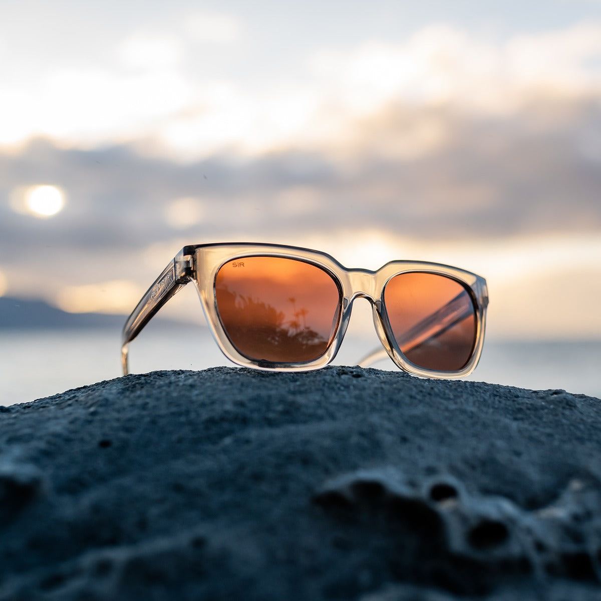 Dahlia – Aspen Polarized