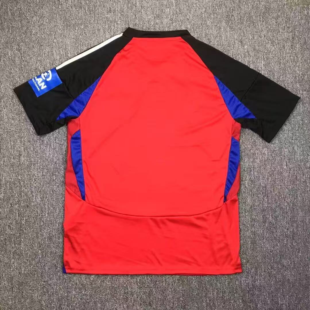 2024-2025 Hamburger SV Third Away Football Jersey 1:1 Thai Quality