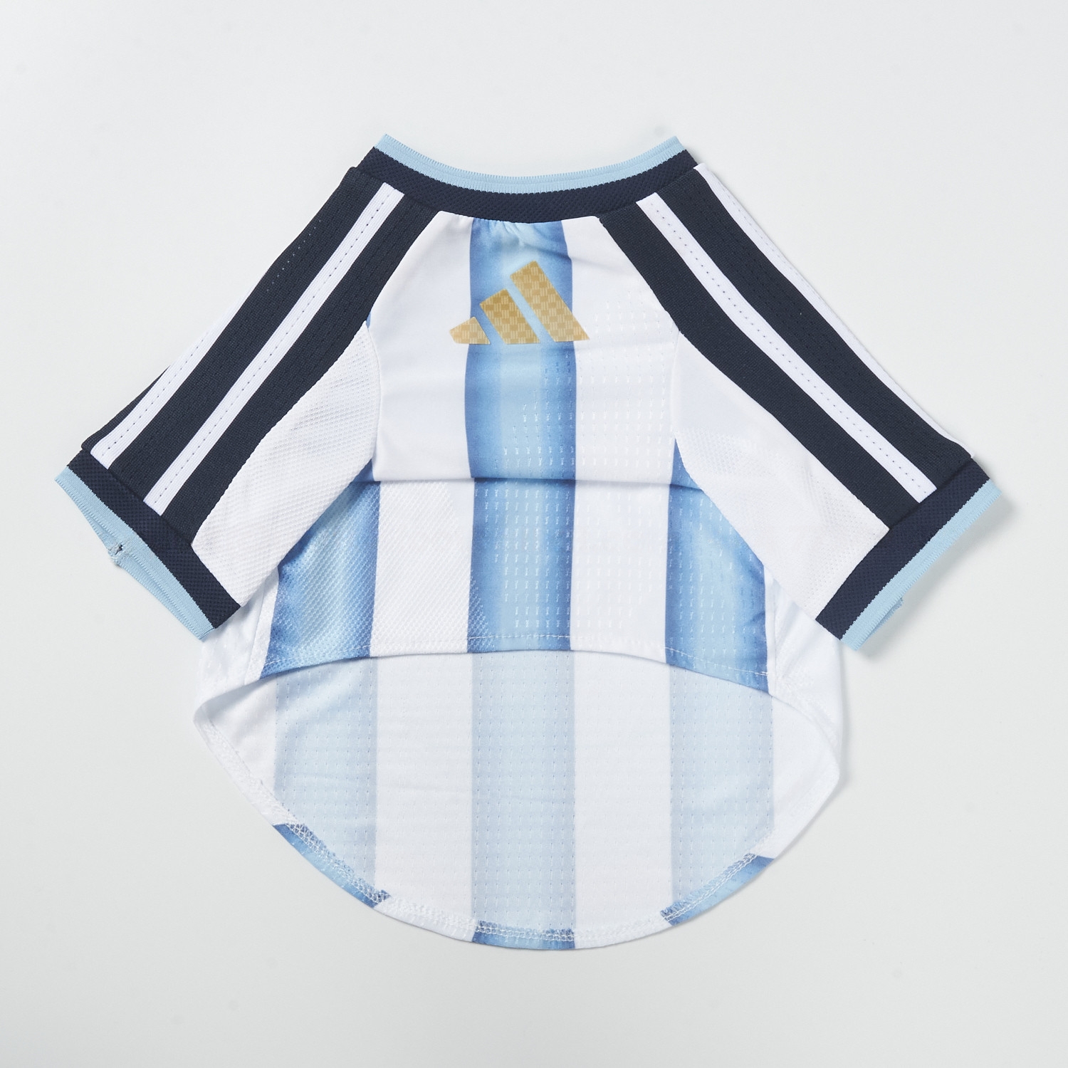 Argentina 2026 Home Pet Jersey - Player Version - UnitedFutballJersey