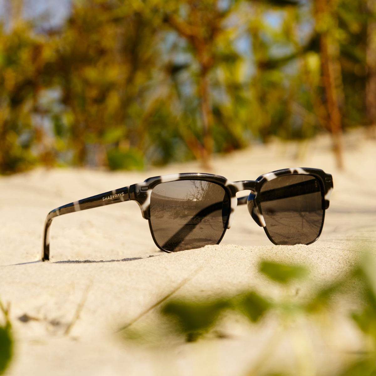 Kingbrook – Marble Tortoise Polarized