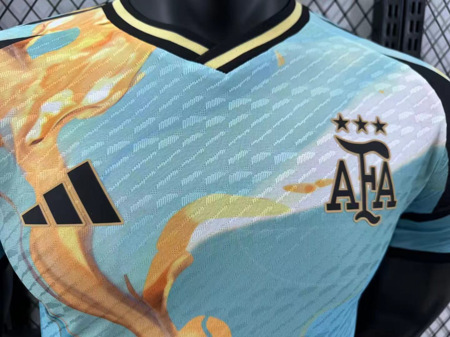 2024/2025 Player Version Argentina Special Edition Jersey 02