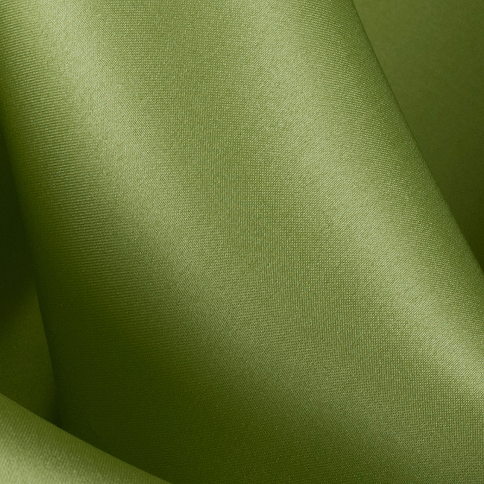 Silk Satin-Face Organza 54