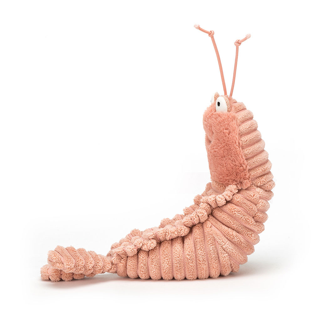 Sheldon Shrimp