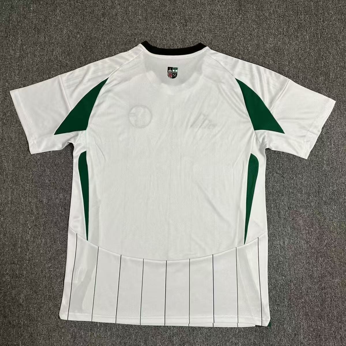 2024-2025 Schalke 04 Away Football Jersey 1:1 Thai Quality