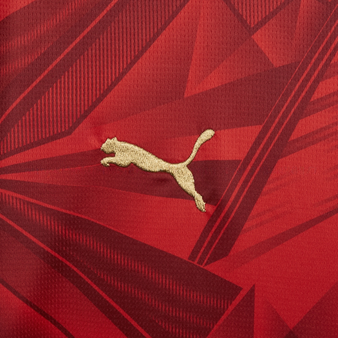 Egypt 2026 Home Jersey - Fans Version - UnitedFutballJersey