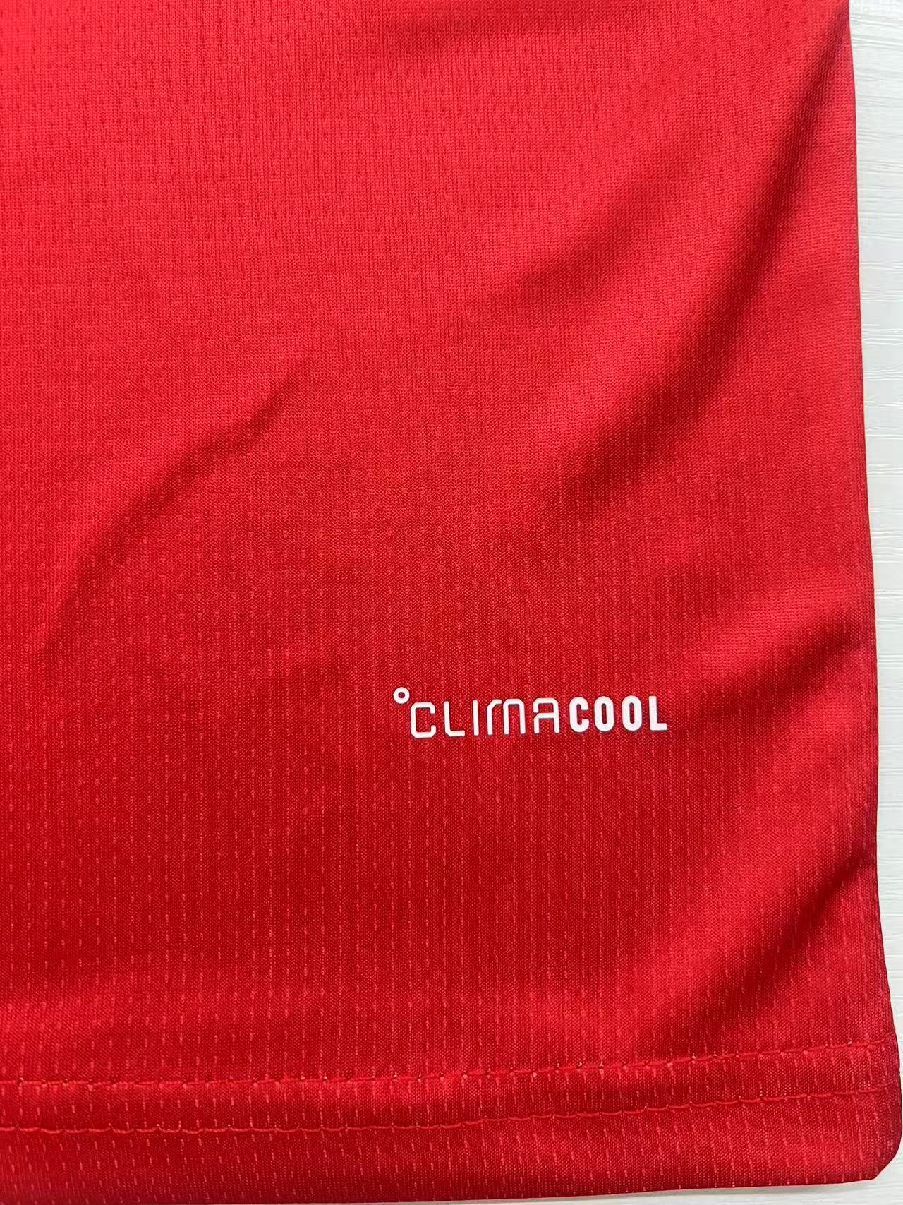 2026 Wales Home Football Shirt 1:1 Thai Quality