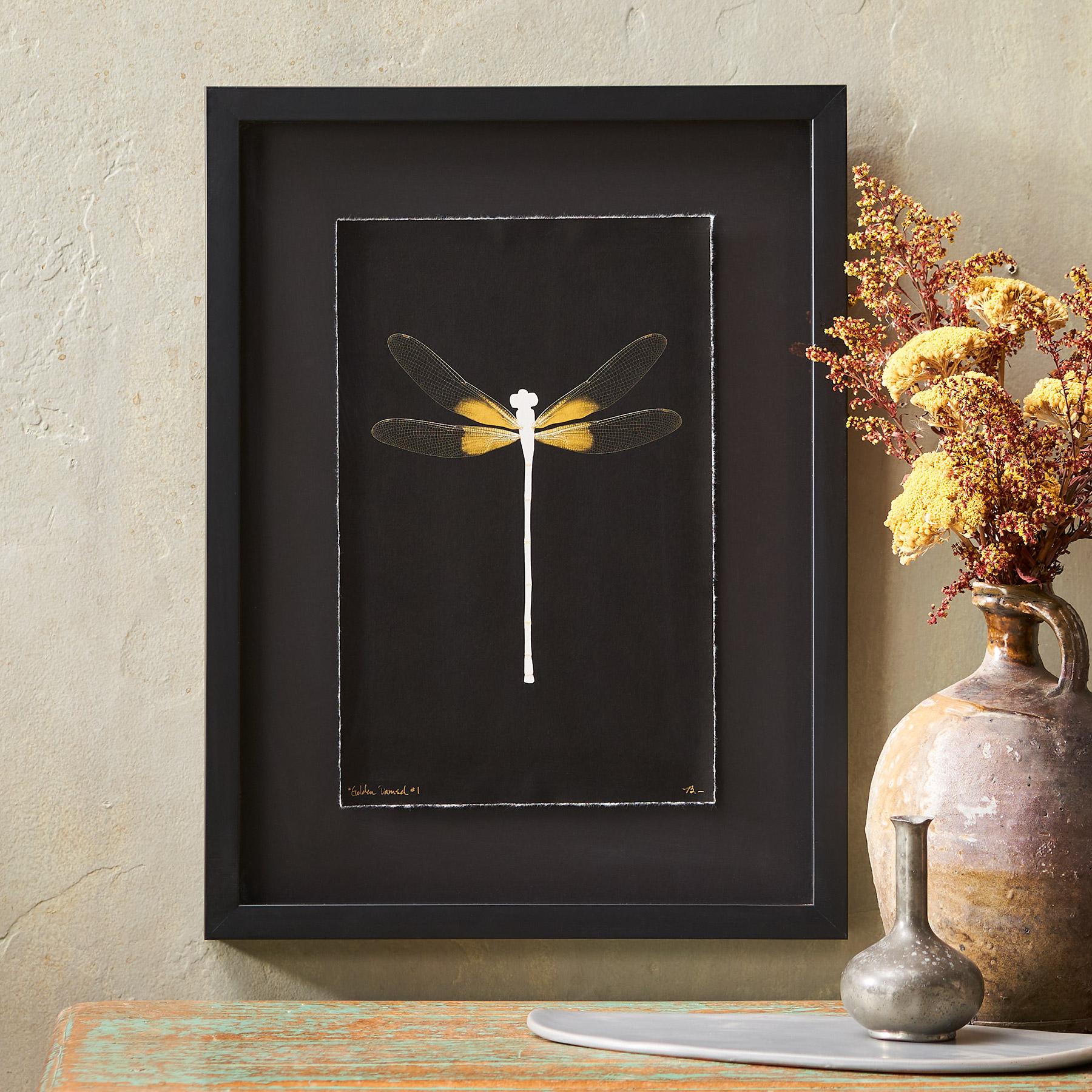 Golden Damselfly Negatives Print - Blair Catalog