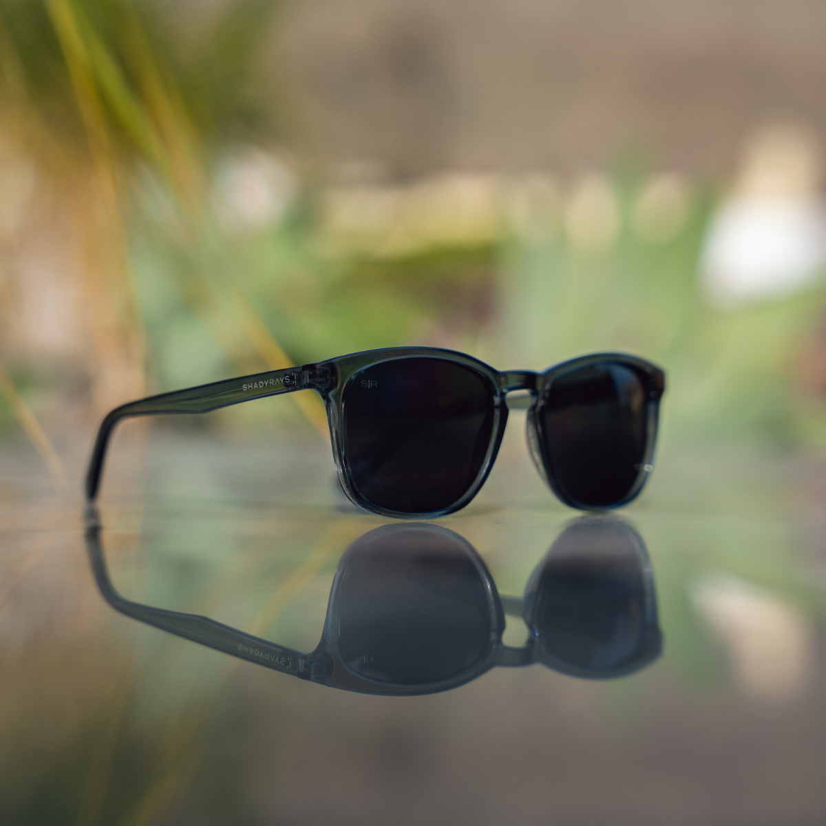 Cypress – Dusk Polarized