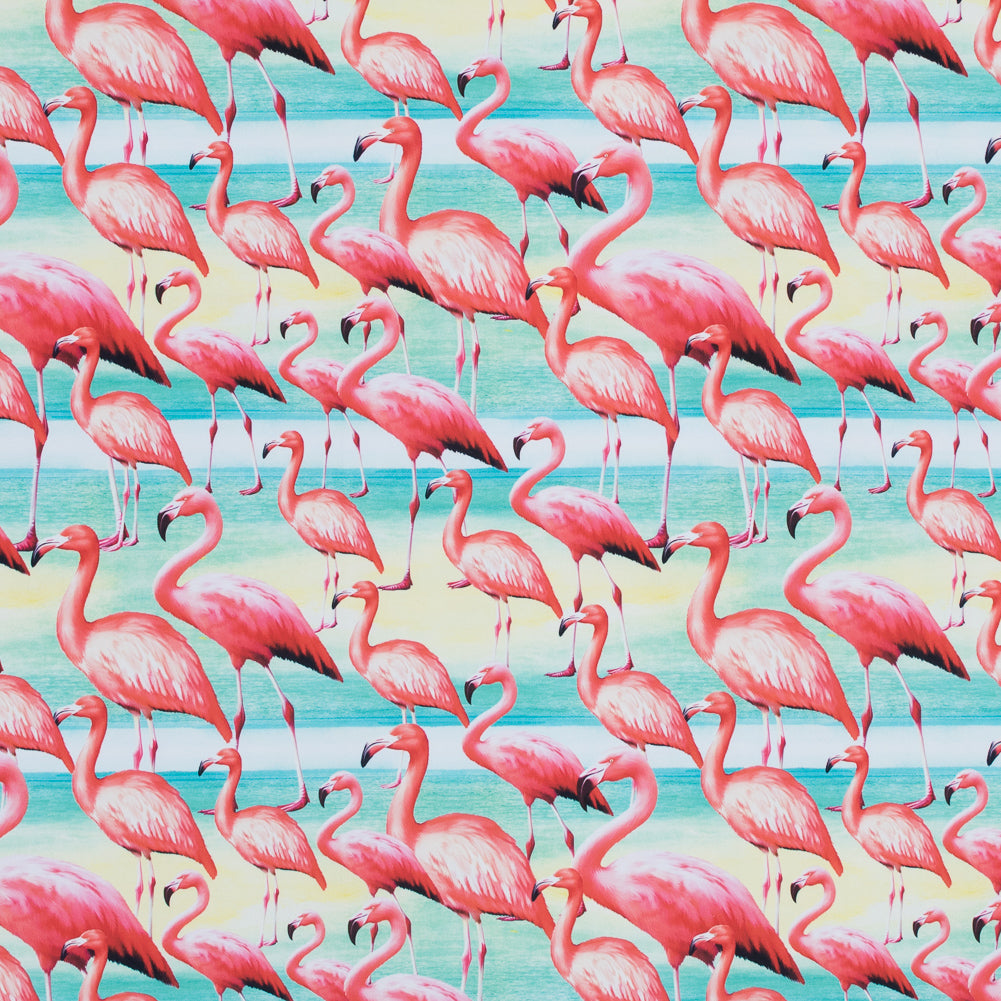 Flamingo Caye UV Protective Compression Swimwear Tricot with Aloe Vera Microcapsules - Joann Fabrics