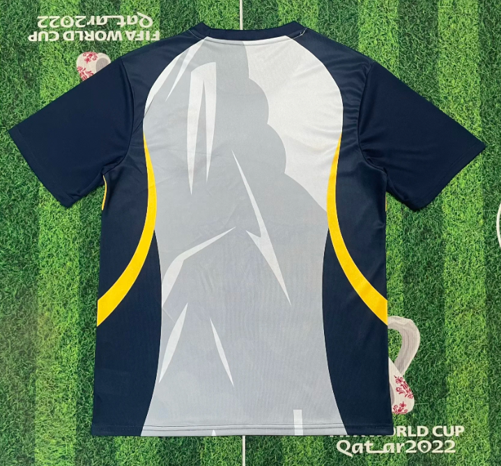 2025/2026 Brazil Special Edition 31 Football Shirt 1:1 Thai Quality