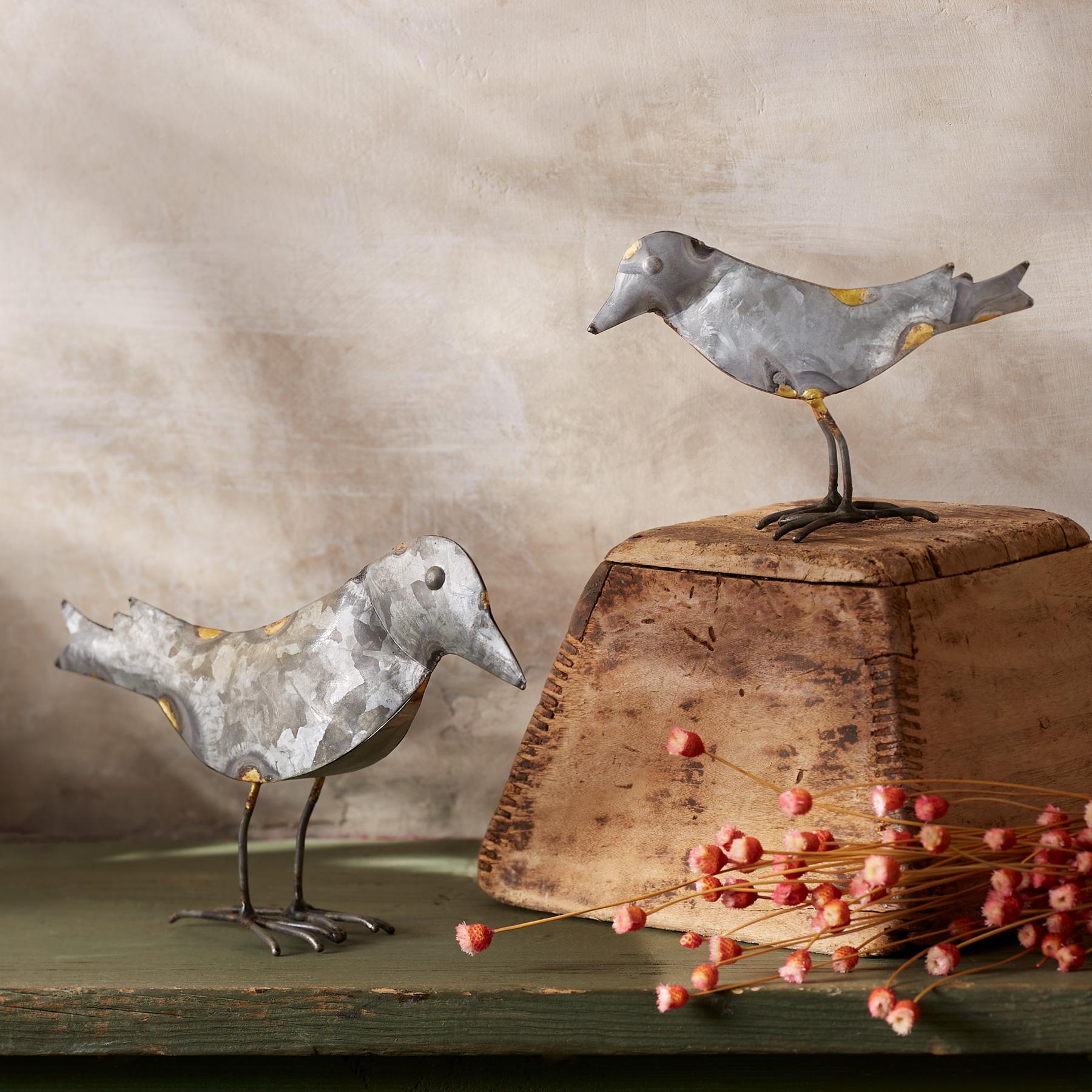 Bird's Eye View Set - Blair Catalog