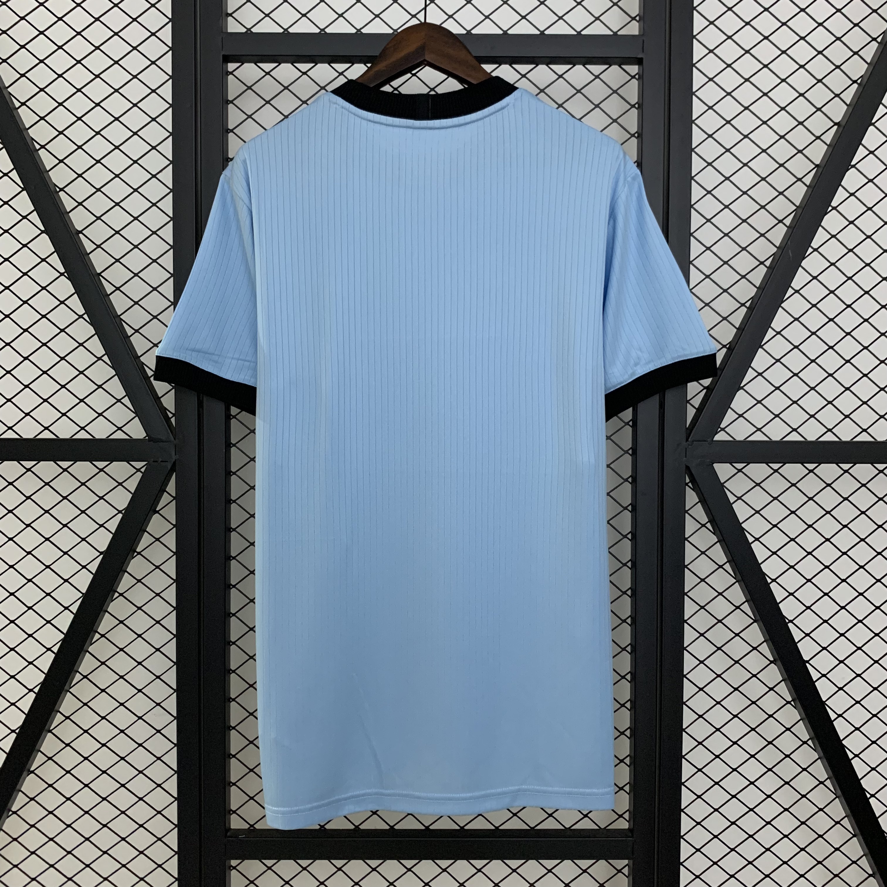 2025/2026 Germany 125th Anniversary Edition Sky Blue Football Jersey 1:1 Thai quality