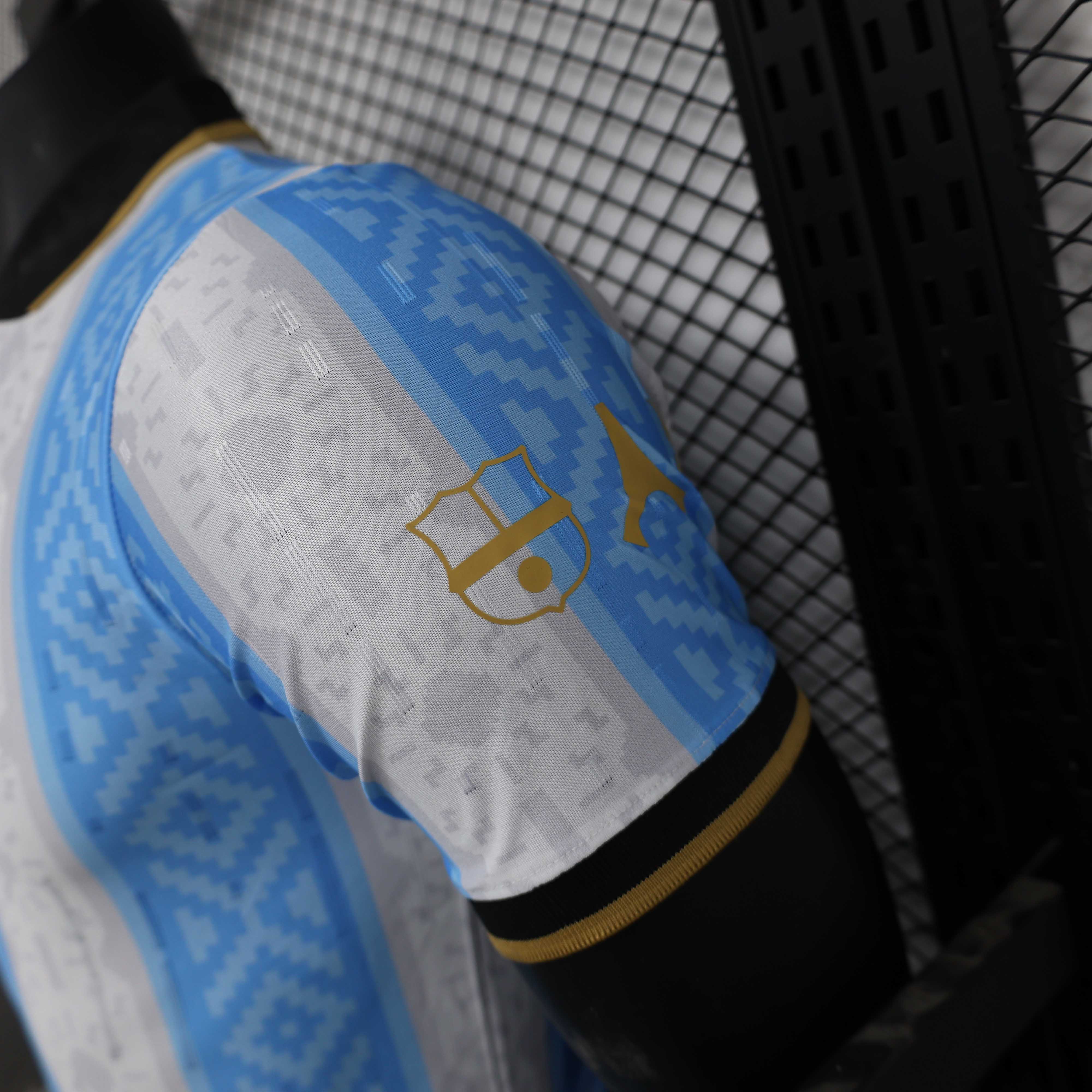 2025/2026 Player Version Argentina Special Edition 01 Football Jersey 1:1 Thai Quality