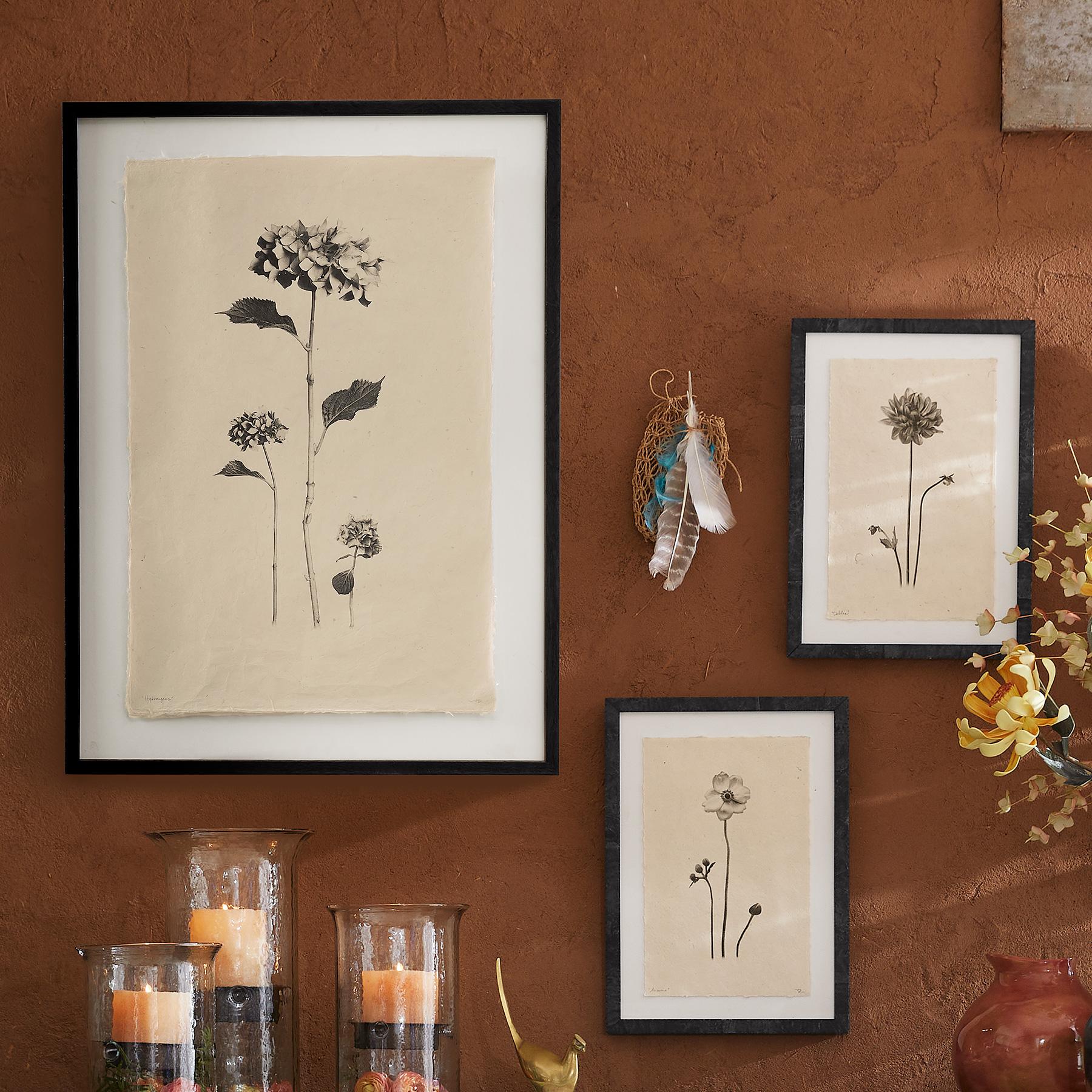 Flower Studies Print - Blair Catalog