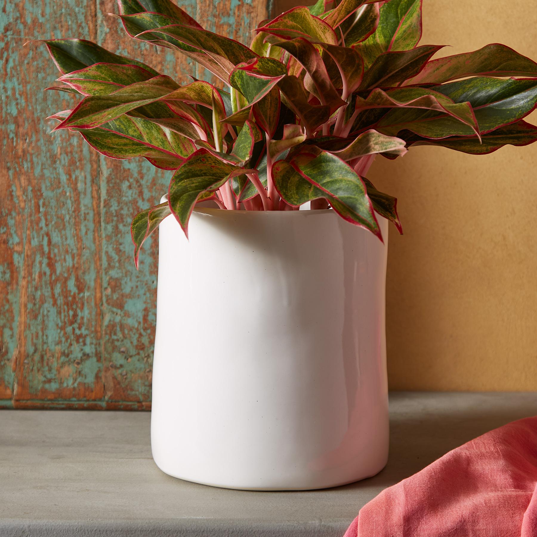 Modern Vase - Blair Catalog